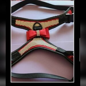 Red and Rhinestone Harness with Bow